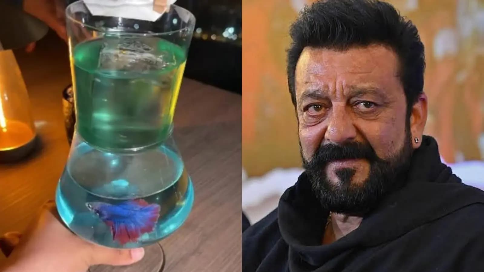 Sanjay Dutt s Mumbai bar under fire for live fish in cocktail