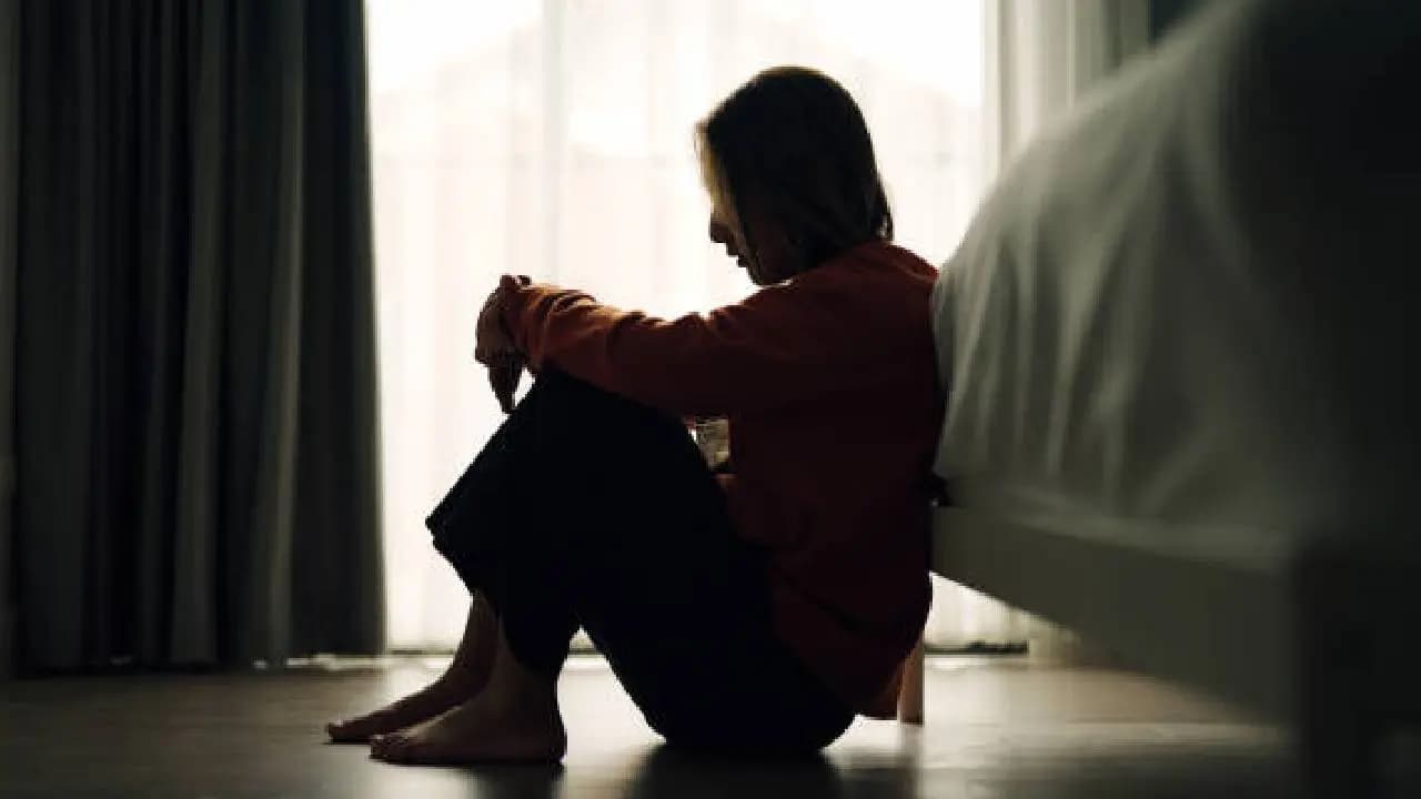 celina jaitly divorce news