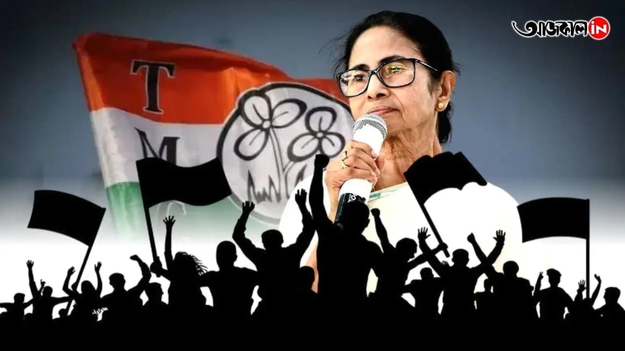 TMC Team Ritabrata Banerjee mlas wants to return to mamata banerjee MLAs big remark here