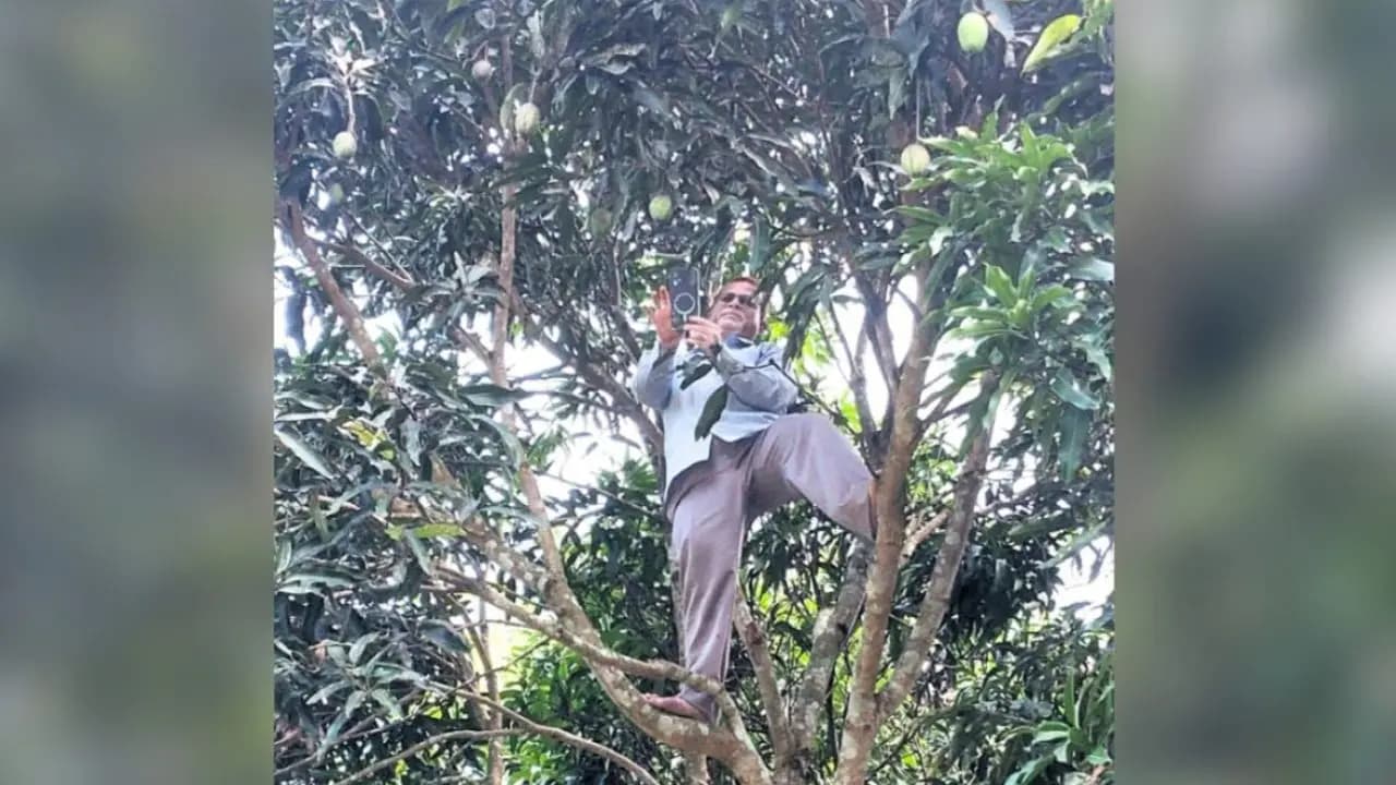 head master climbed up a tree to get mobile network in bangladesh