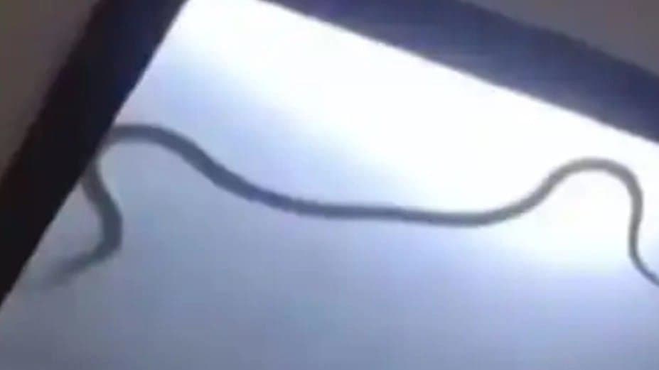 Family Endures 36 Hour Horror In Noida Apartment