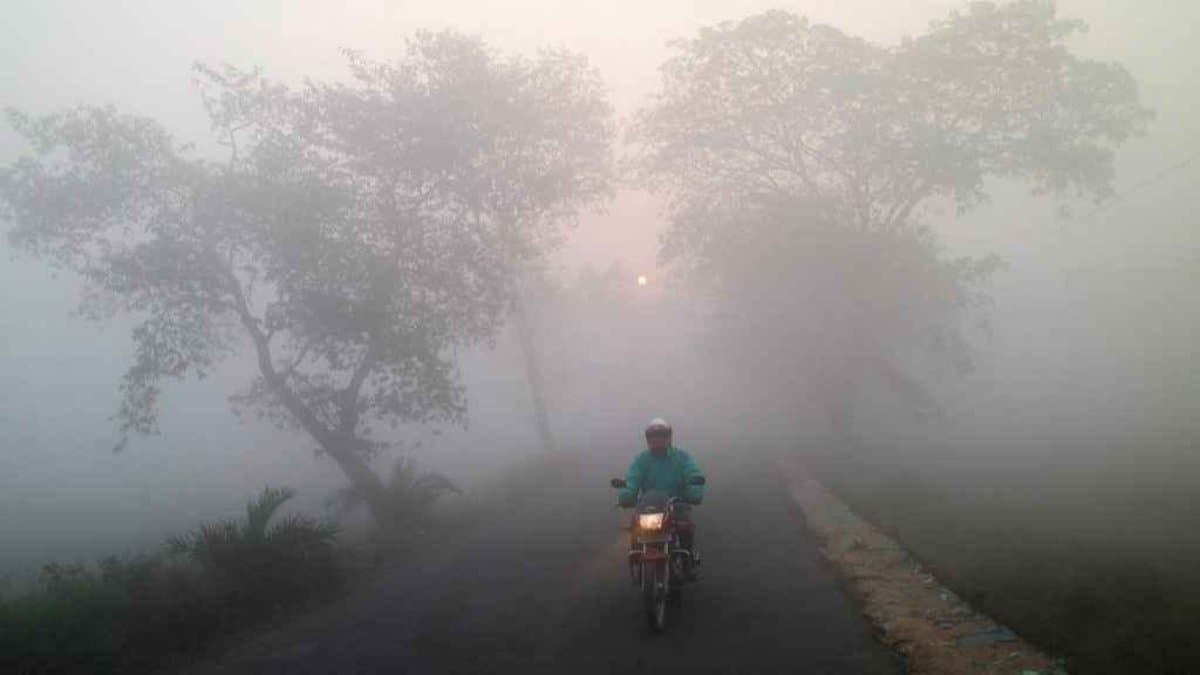 Weather Update: forecast of weather in West Bengal gnr