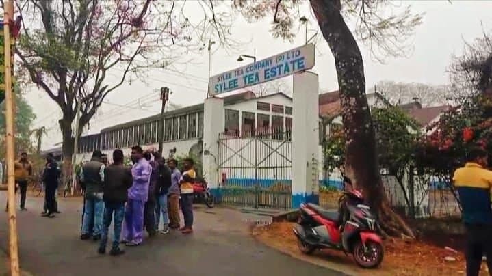 Dooars tea garden reopened after 59 days