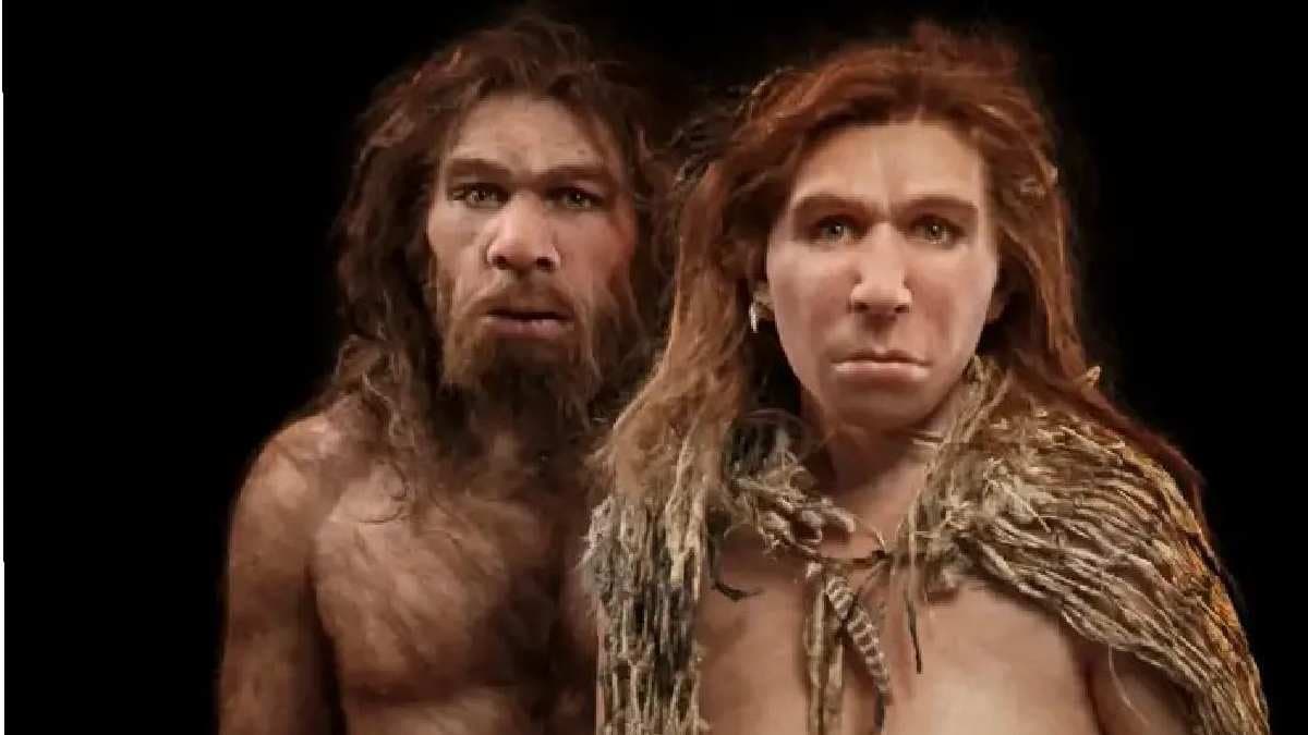 New DNA evidence finds that Neanderthals didnt go extinct gnr