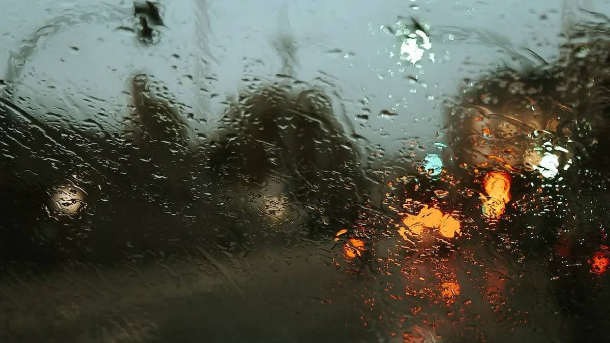 Weather update imd issues dense fog and rain in these states for next 4 days gnr