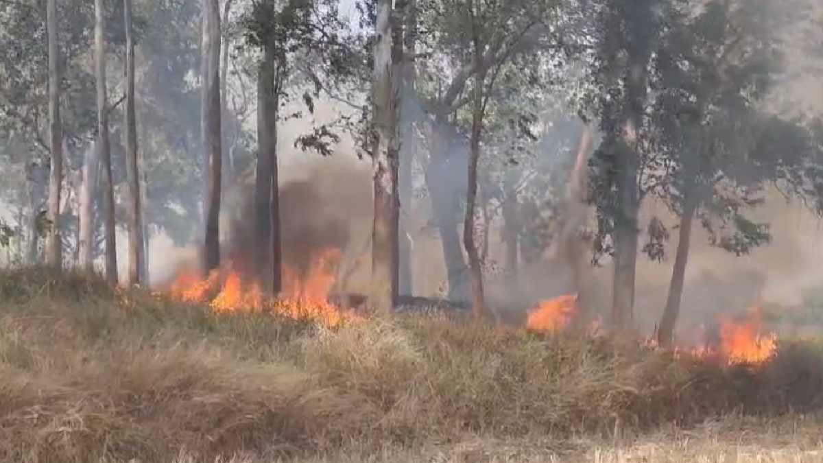 Fire beside railway track thwarts train movement temporarily gnr
