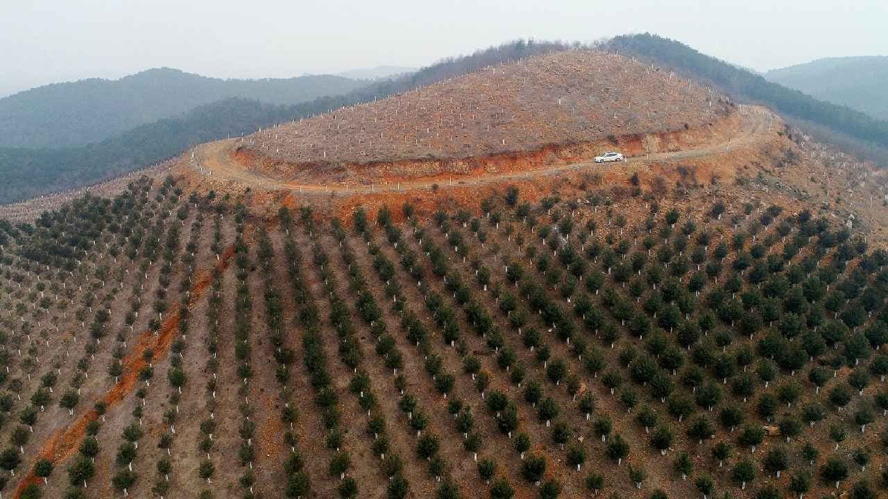 China