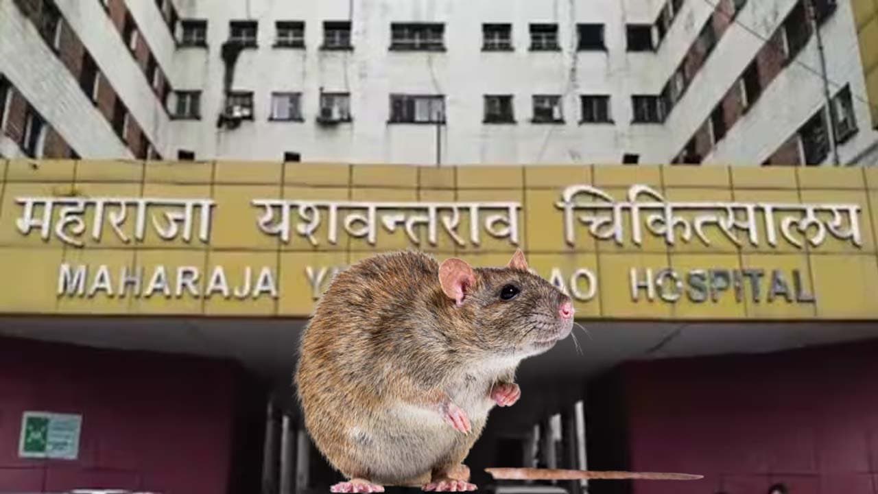Rats Jabalpur Hospital