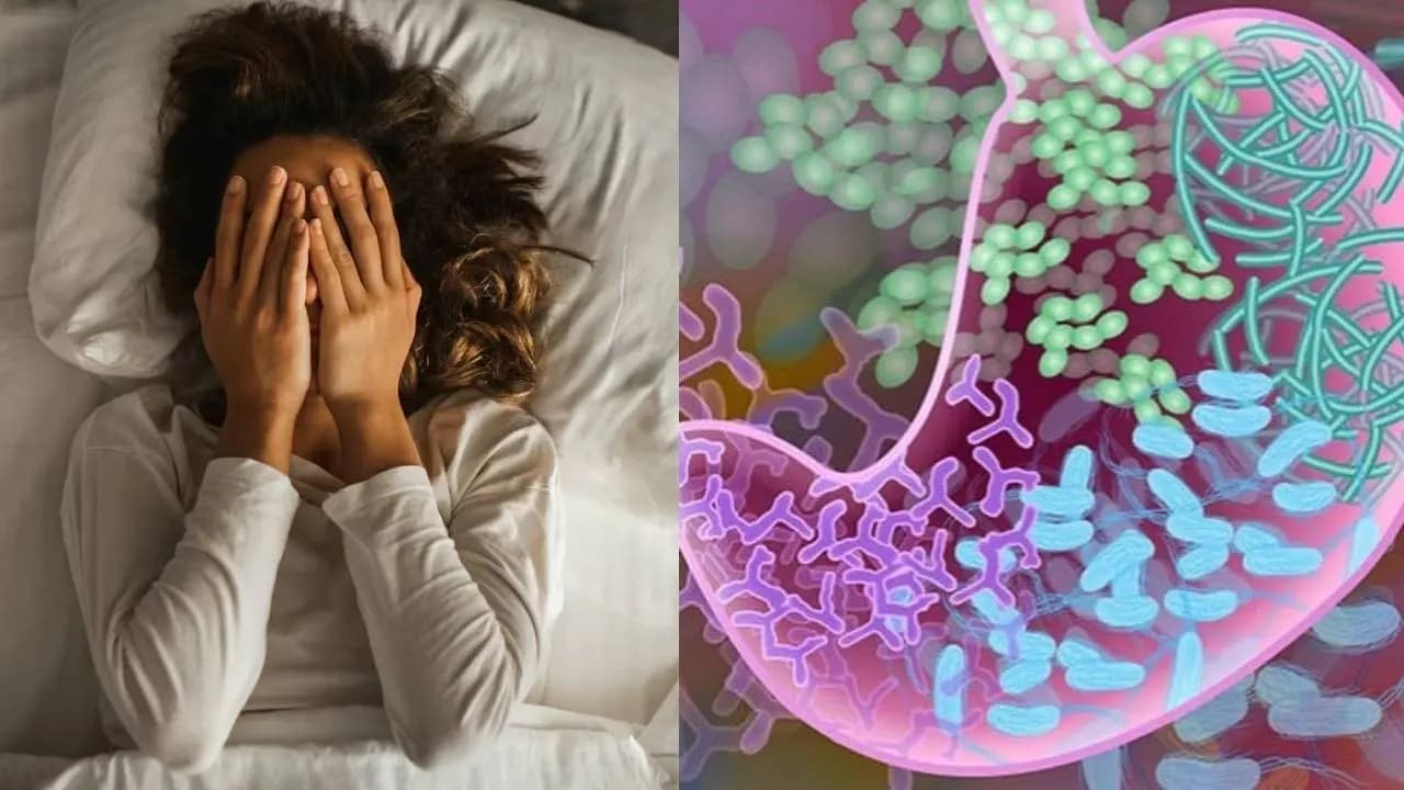 Gut Bacteria Linked to Insomnia: New Study Reveals Impact of Gut Health on Sleep Quality