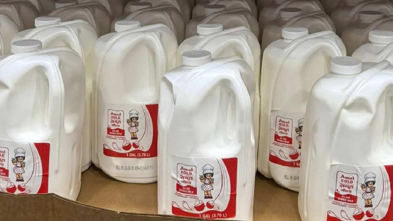 Amul Milk In US