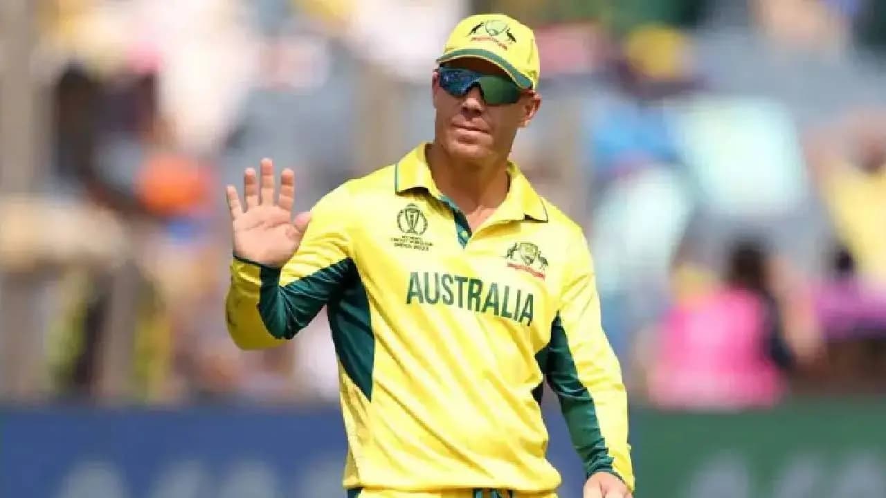 David Warner told the police that he had consumed alcohol shortly