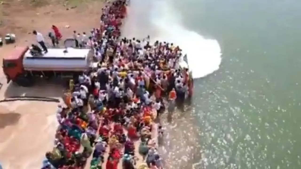 11,000 liters of milk poured into Narmada, why? Video goes viral
