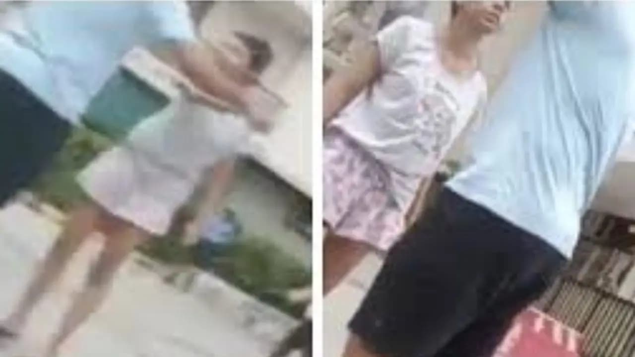 Viral video of man and woman brawling over feeding strays