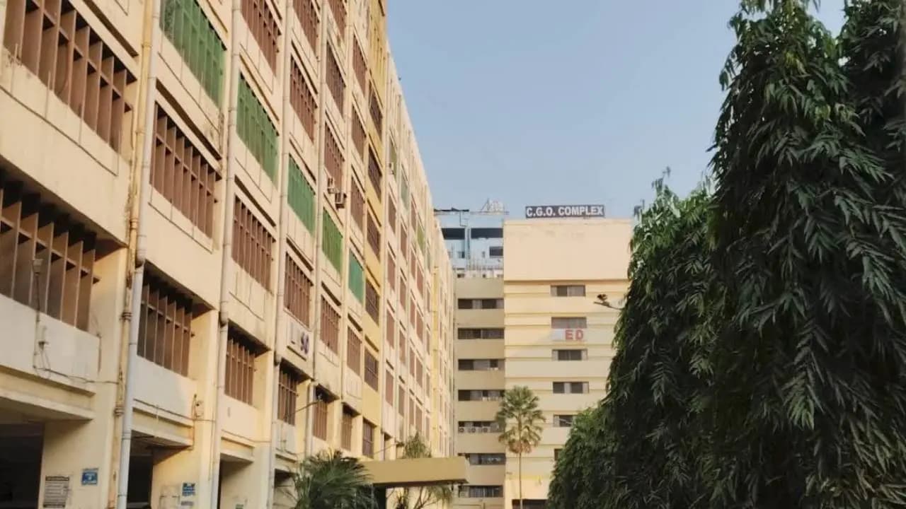 ED arrest businessman Jay Kamdar on Sunday