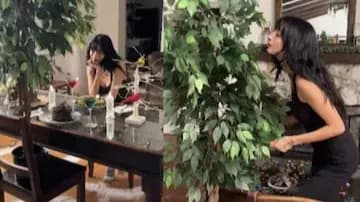 Woman Shares Her Experience Of Dating A Tree gnr