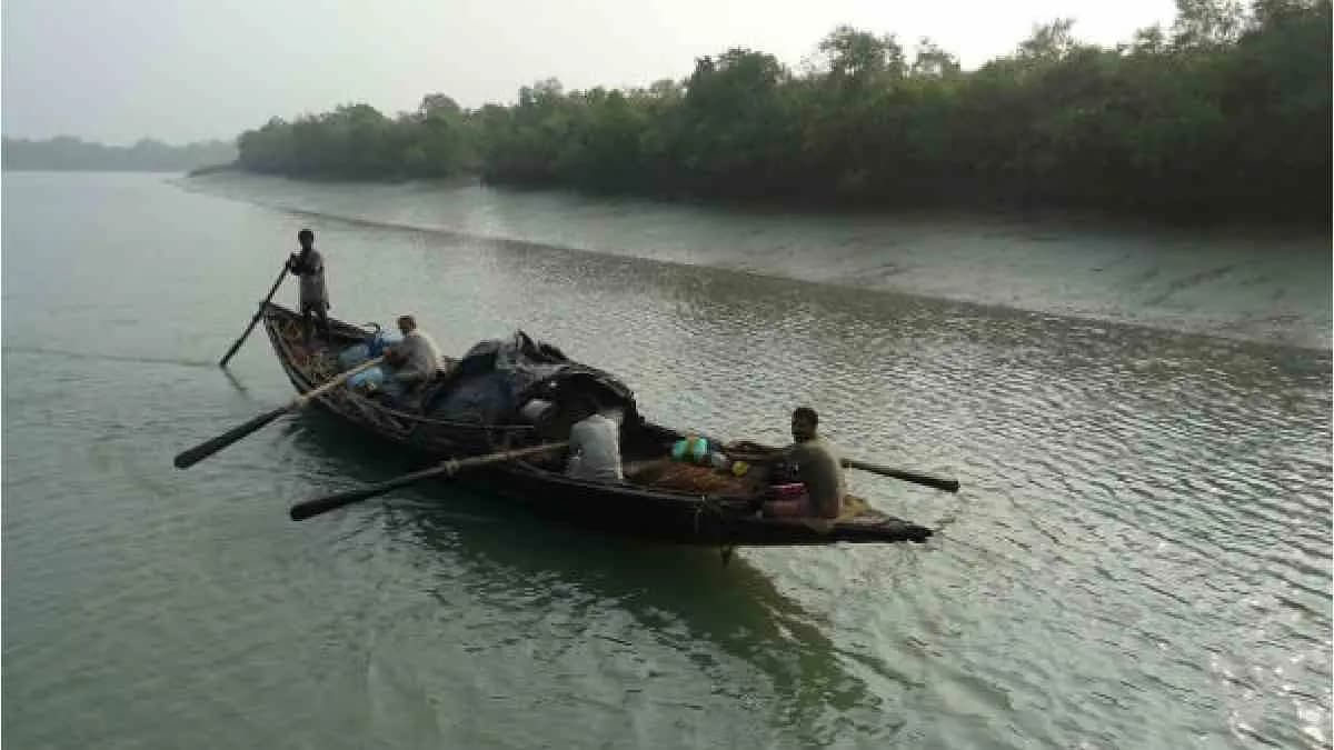 fisherman of sundarban faces harassment in forest