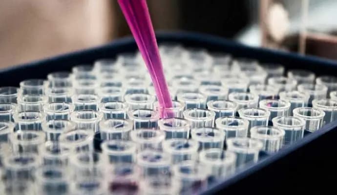 Groundbreaking First Human Trial of Cannabinoids gnr
