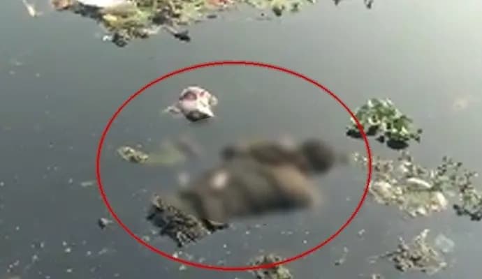 dead body found of a youth in kolkata