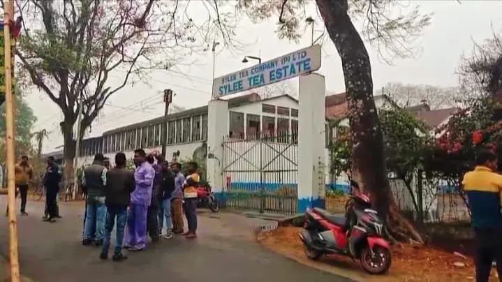 Dooars tea garden reopened after 59 days