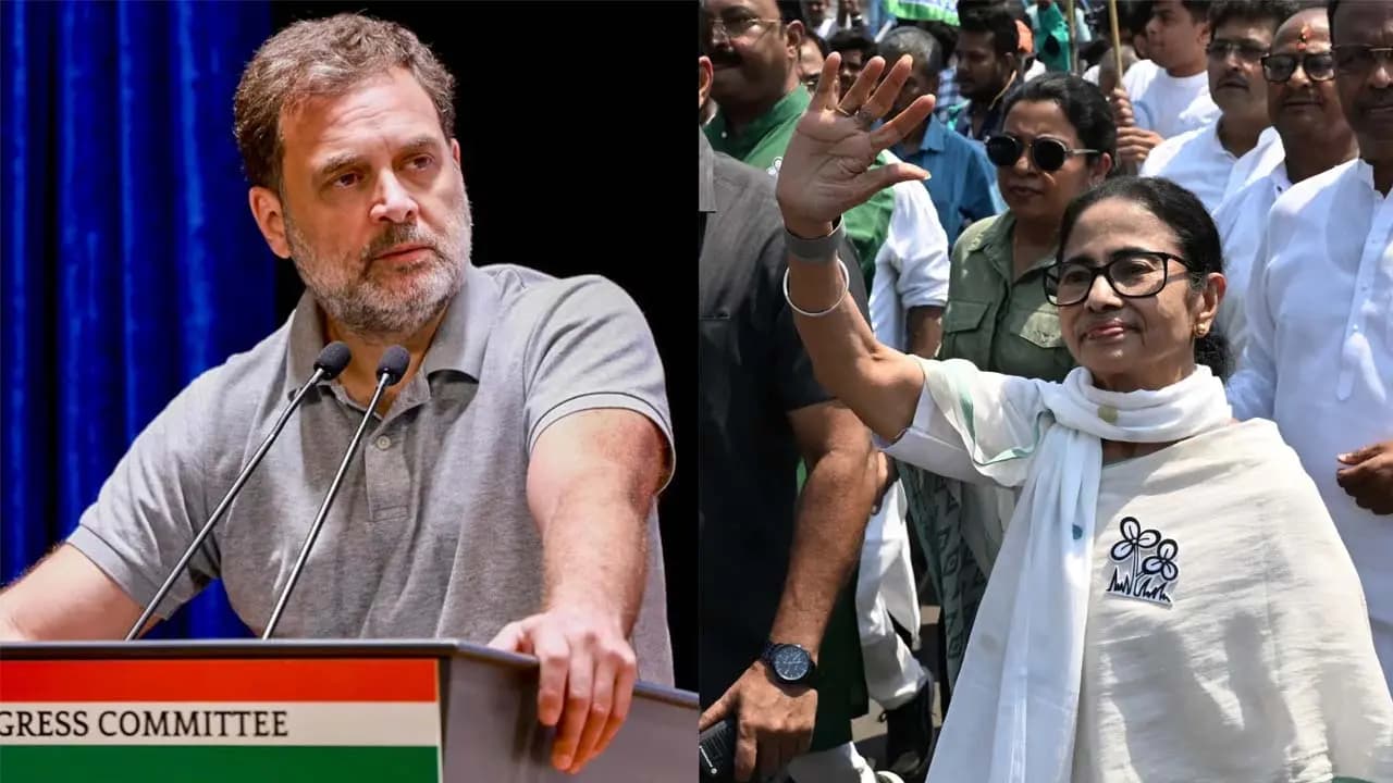 Why did not the ED interrogate Mamata? Rahul asks; Trinamool hits back with a jibe, bringing up the incident of feeding biscuits to a dog
