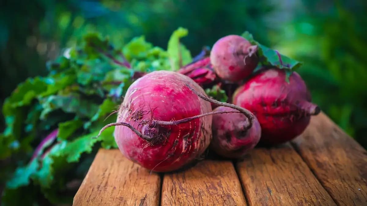 This nutrient packed food can transform your health! Lyf