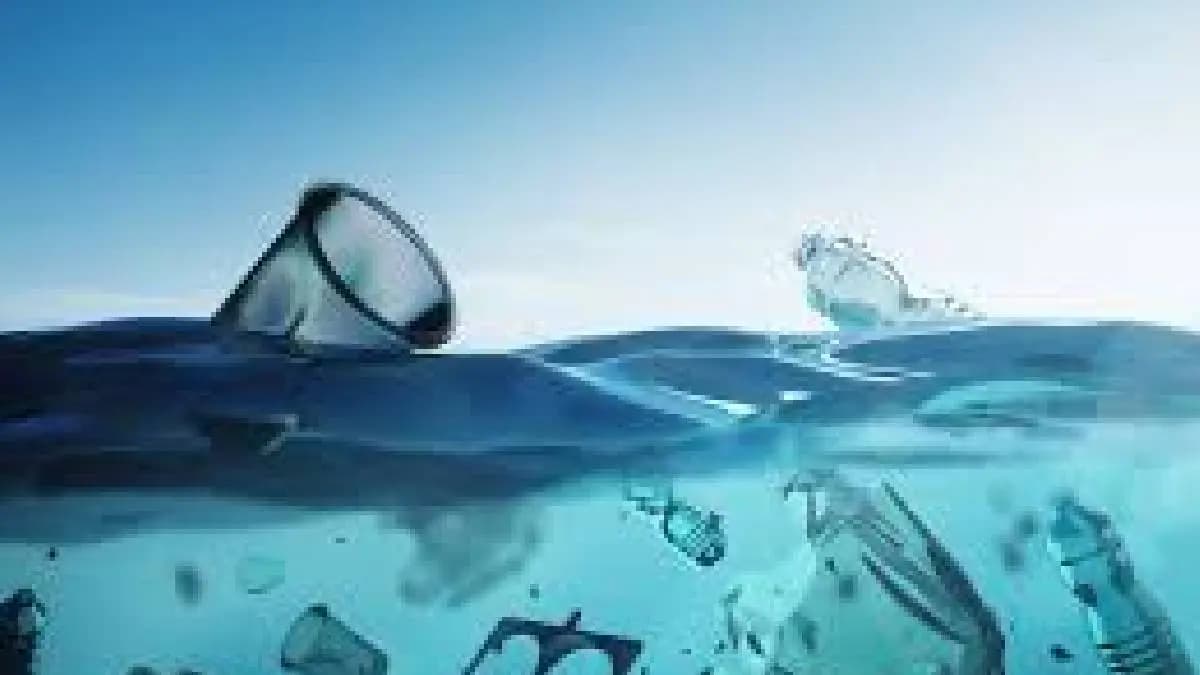 Alarming creatures eat and transform plastics into poison gnr