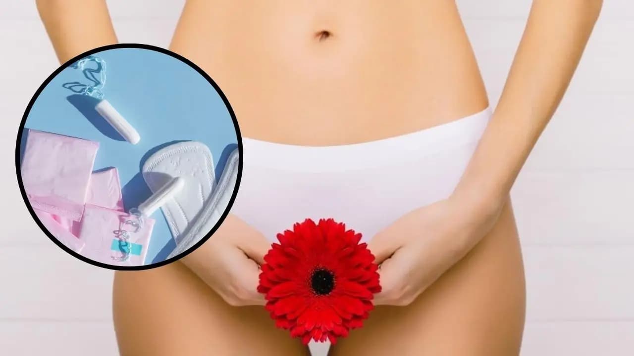 Biologists trying to make menstruation occur in every 3 months here is why