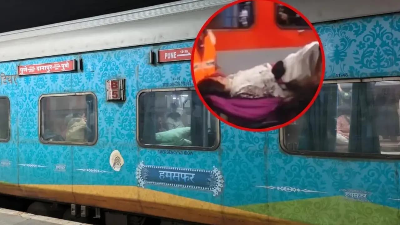 Woman give birth to a new born in running train