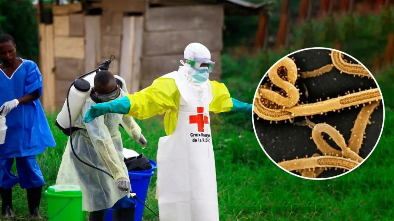 EBOLA