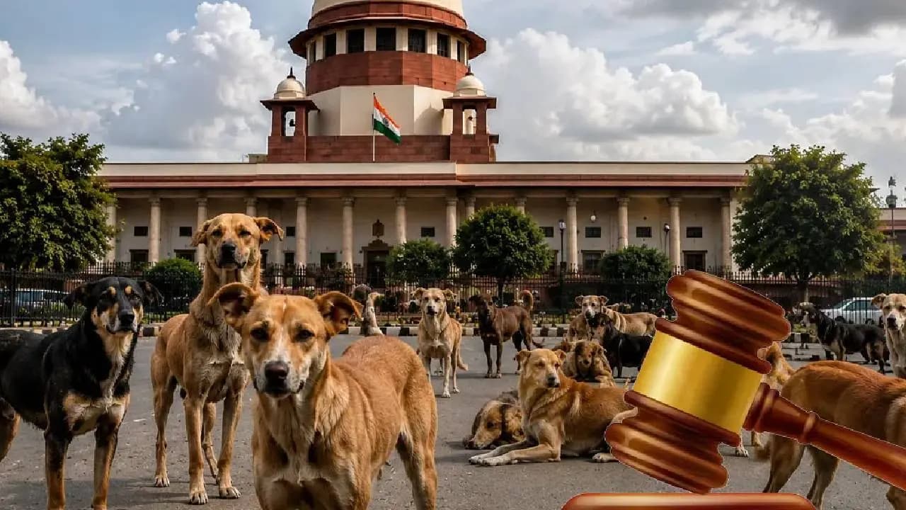 Stray dogs may be put to death major directive from the Supreme Court