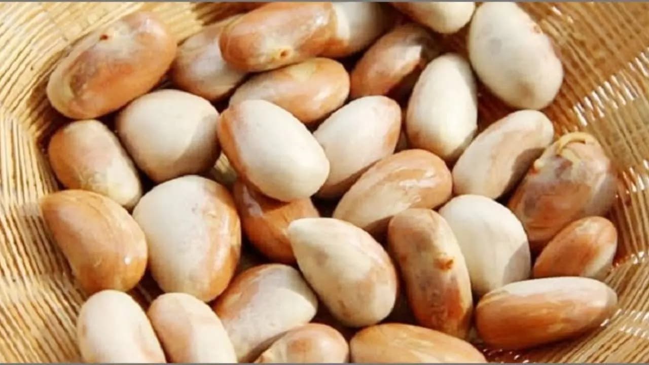 Jackfruit Seeds Emerges as Next Plant Protein Superfood Scientists Eye Global Market Demand