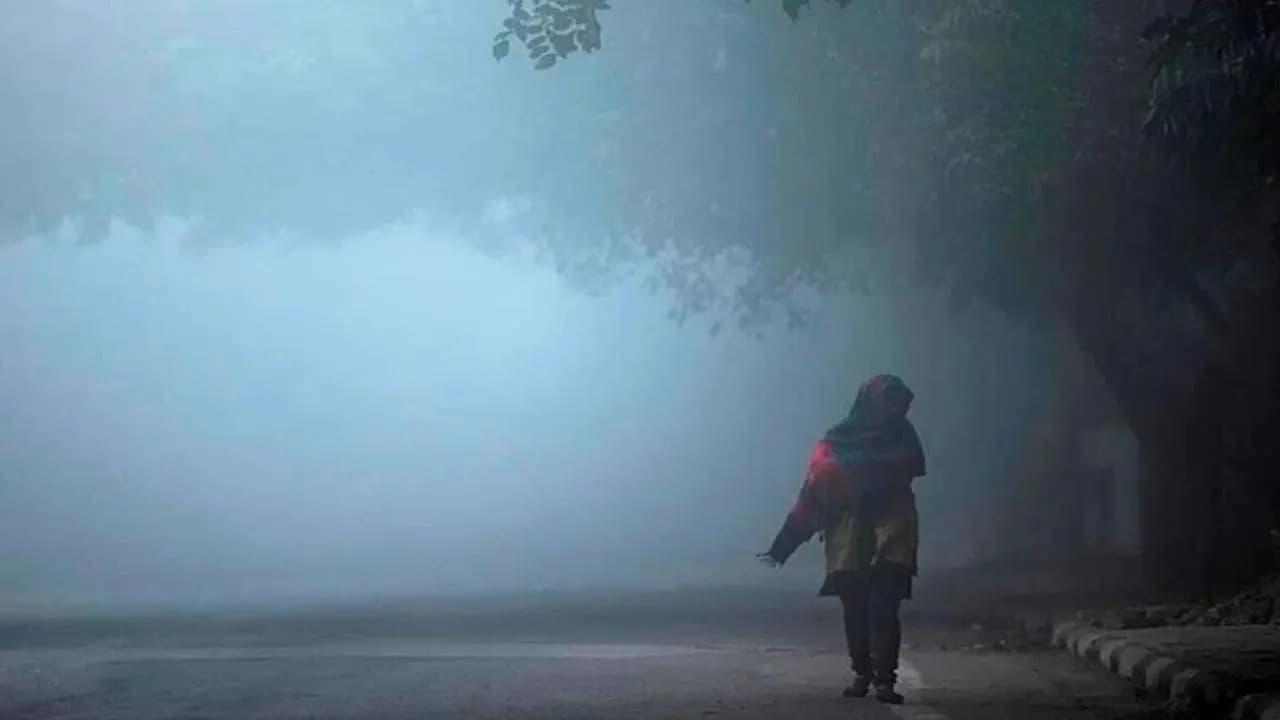 IMD Rain Alert
