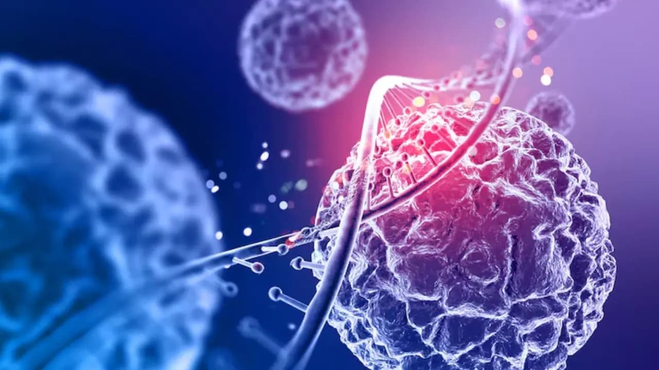 cancer risk