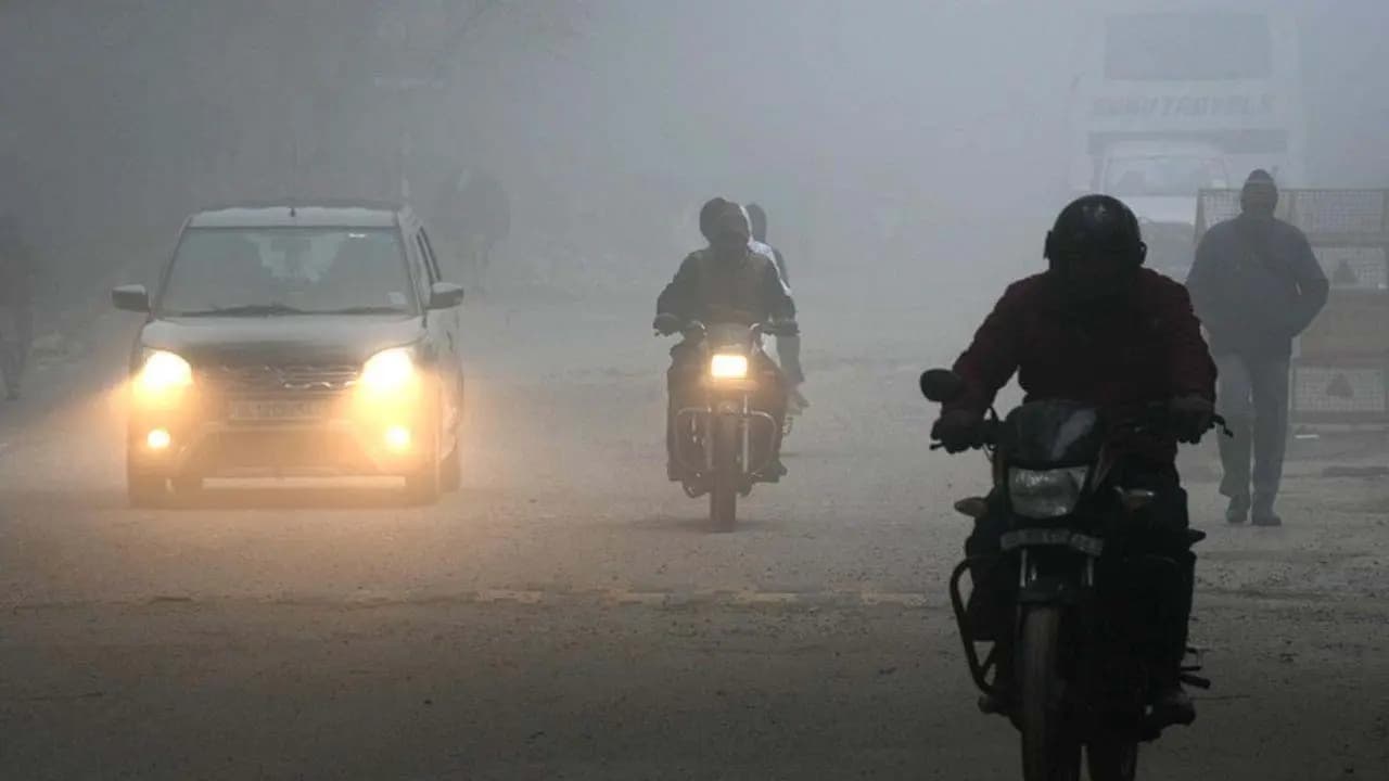 IMD Weather Forecast