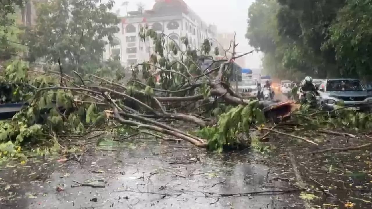 IMD Weather Forecast Kolkata Ravaged by 88 Kmph Storm Trees Uprooted Across the City