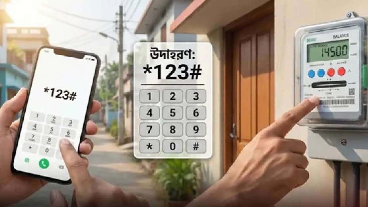 Smart Meter.
Picture: Collected