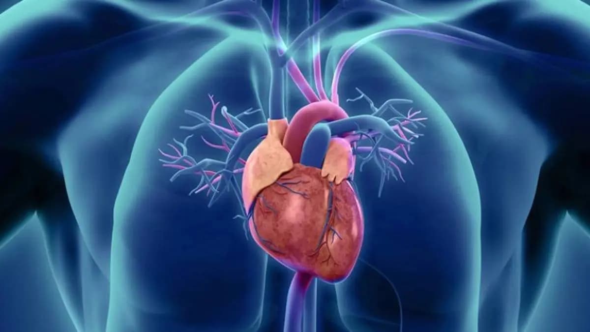 Heart disease prevention