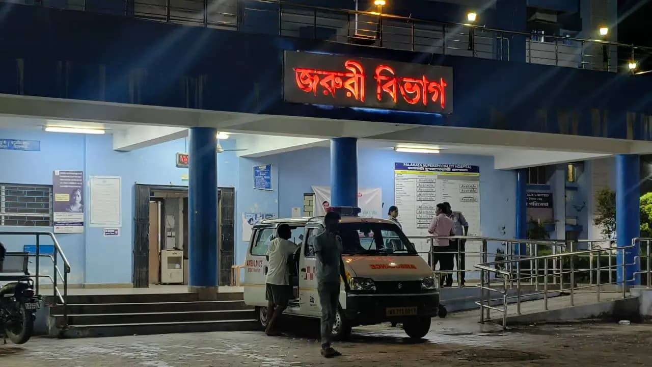 Dhupguri Horror: Woman Died After Son Attacks Family Members With Sharp Weapon