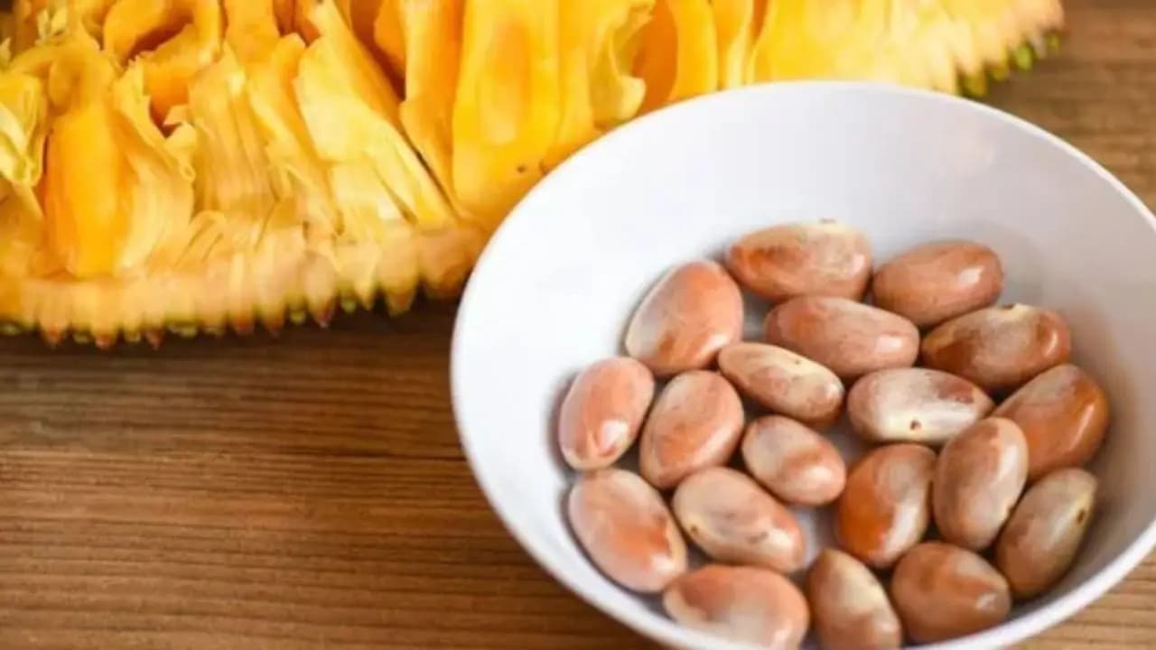 Jackfruit seeds health benifits packed protein fiber amino acid