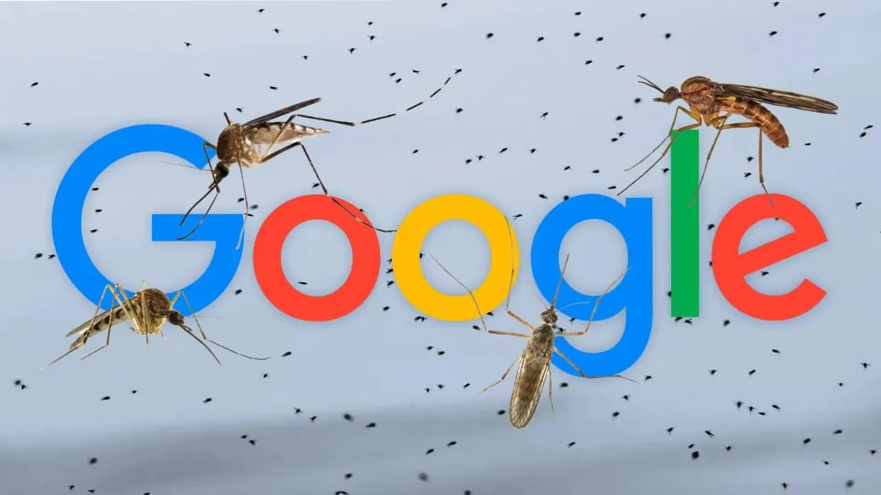Google mosquito plan: Releasing millions more can save the Human Civilization