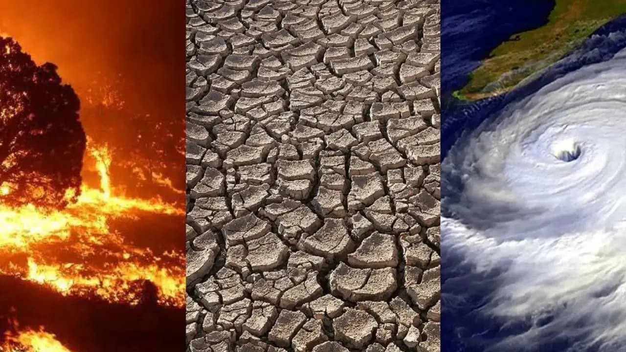 El Nino impact