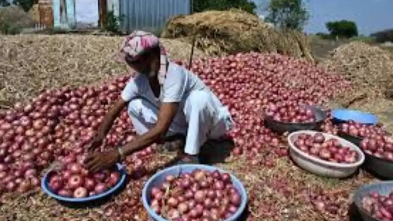 Big Move by Modi Government: Centre Hikes Onion Procurement Rate From Saturday to Support Farmers