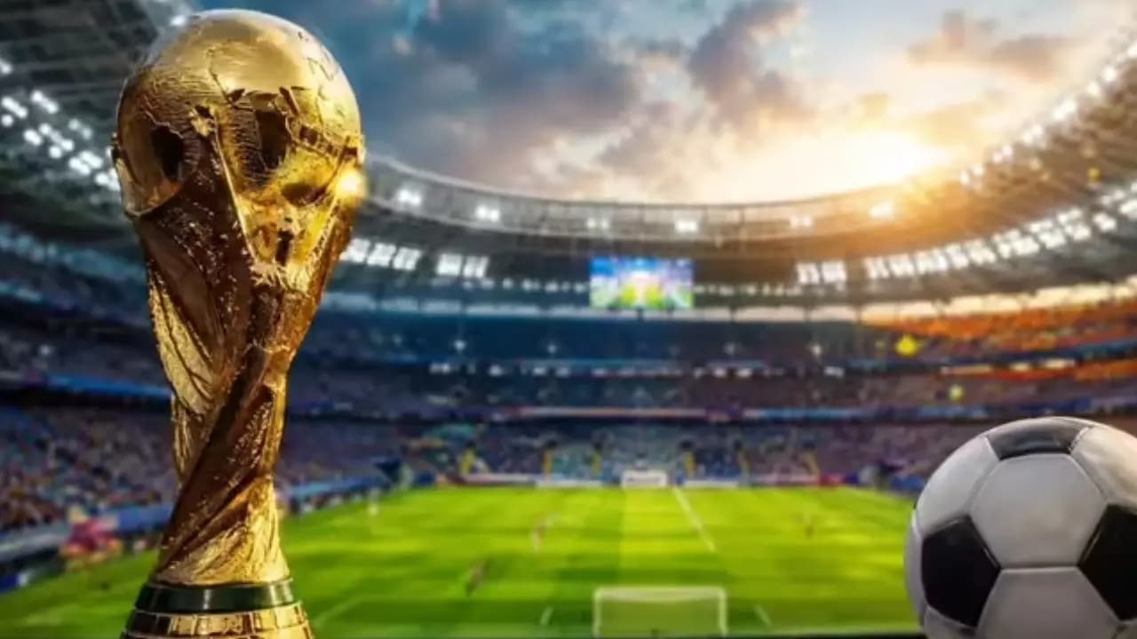 The price of a final ticket is equal to the average Indian 20 months of income