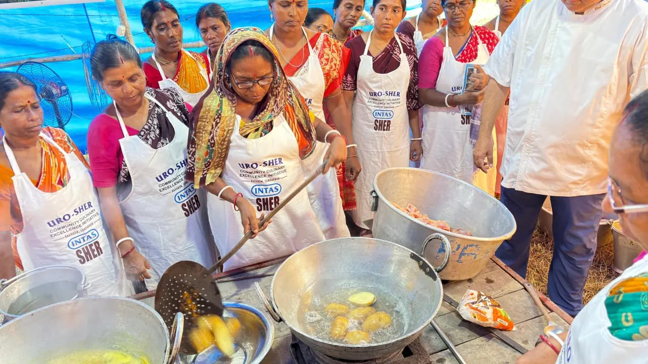 To avoid Sundarbans forest for livelihood people of this area took part in special cooking classes for the tourists