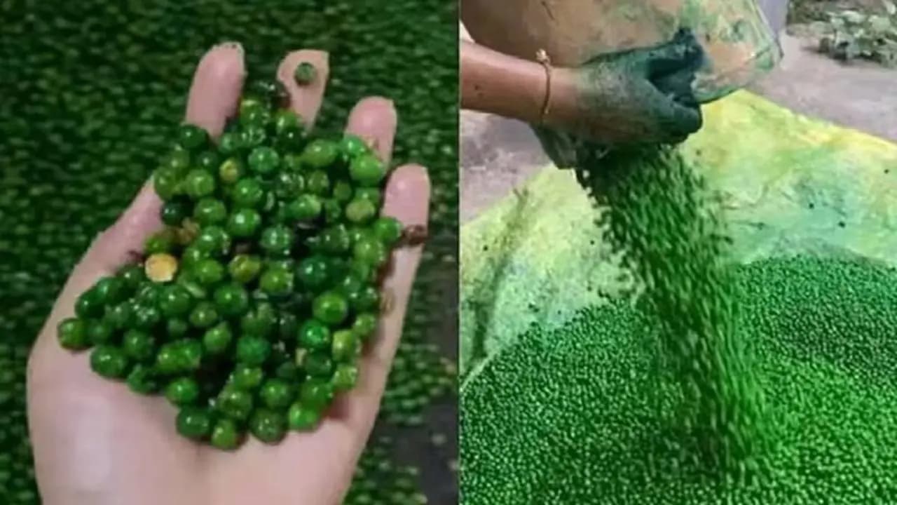 Green Peas Side Effects Know about Doctors Advice Knowledge Story