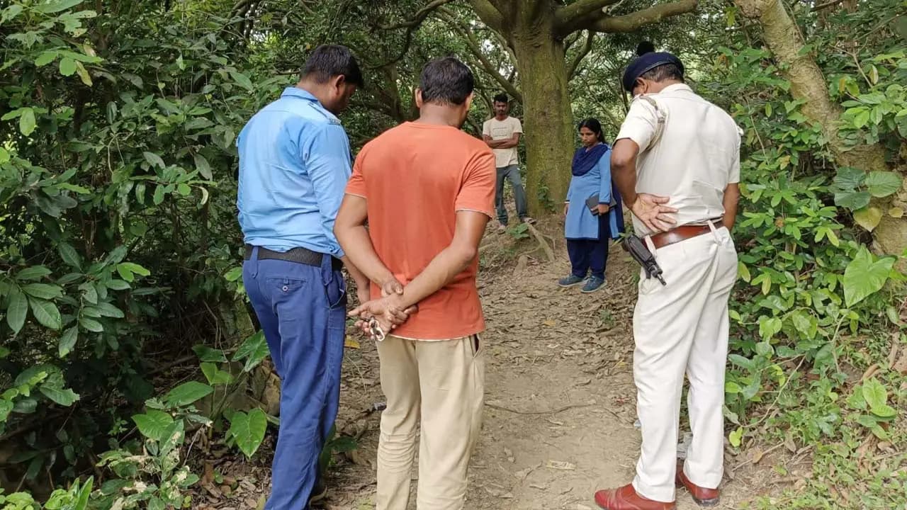 Three children injured in an untoward incident while gathering mangoes in Malda