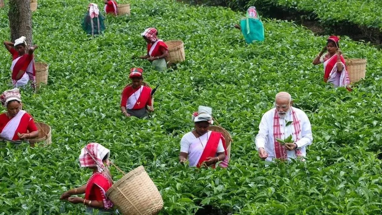 Central Government Schemes