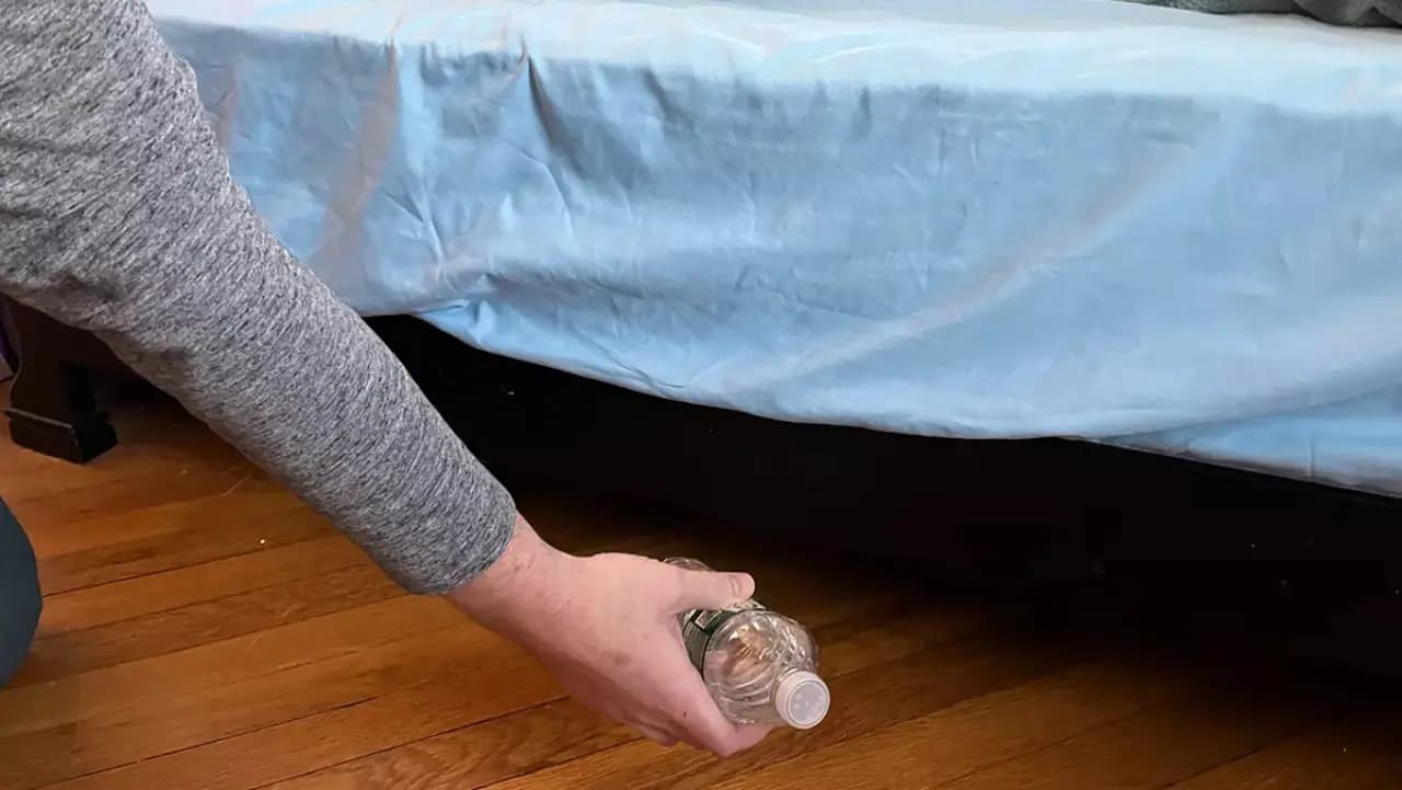 tips