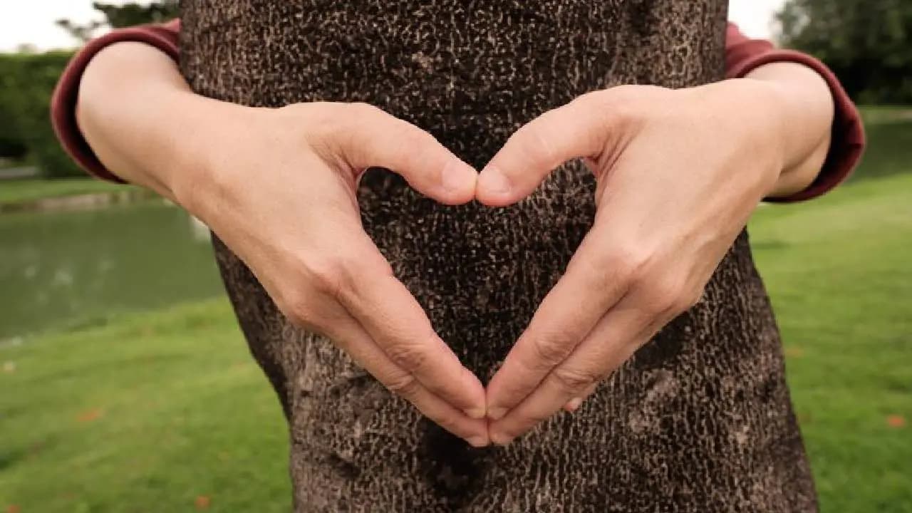 Woman Claims to Find Romance and Connection with an Oak Tree