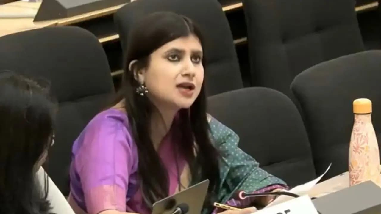 India lashes out at Pakistan at the UN calling it a Frankenstein What are the warnings issued